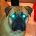 David Jardine - @DavidJardine26 - Twitter