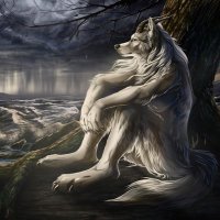 Omar (@omar42069) 's Twitter Profile