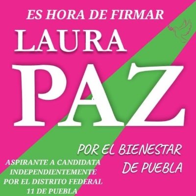 Derecho a la Vida Laura Paz Profile