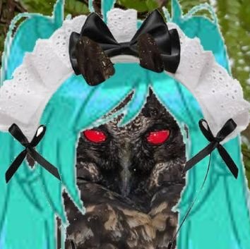 CptnRosa's profile picture. Just a silly person trying to live their silly little life
Oh God why are there so many fandoms
Not a minor, so just keep that in mind