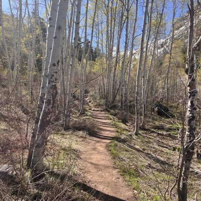 Utahlatin's profile picture. 😈Hot🔥