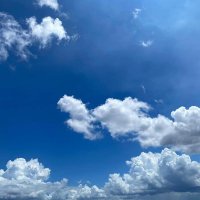 hosted (@hosted4911059) 's Twitter Profile