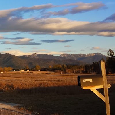 lisajones421549's profile picture. 