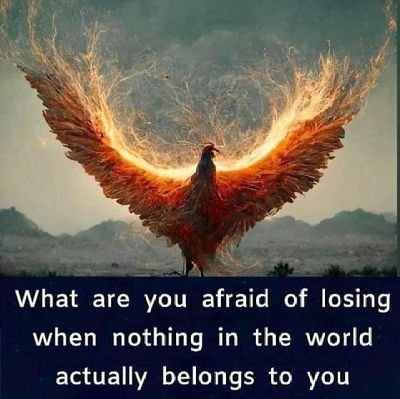 AzizSagher1122's profile picture. Nothing to Say