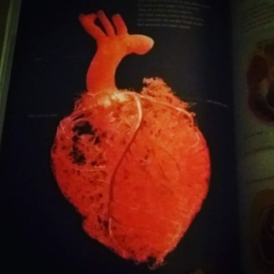 AngieSt77's profile picture. 