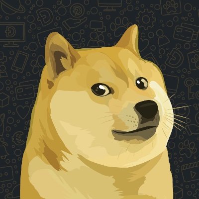 每天只做好事 $Doge  🫶