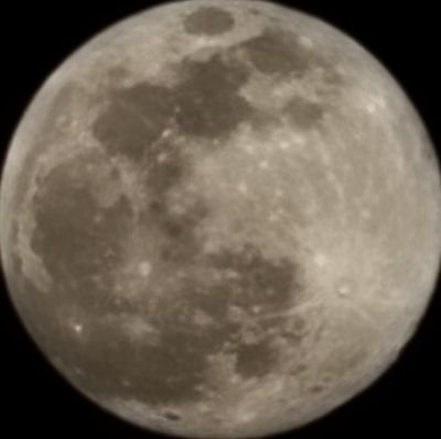 MintzOnly's profile picture. Free Palestine 🇵🇸 Fuck Isreal