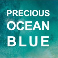 Precious Ocean Blue 🐳(@PreciousOceanFd) 's Twitter Profile Photo