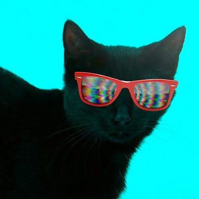 TiagoSchal23515's profile picture. 