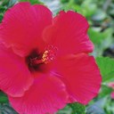 Debbie Tate - @DebbieTate_ - Twitter