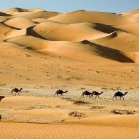 Karam Baloch (@karamba67197744) 's Twitter Profile Photo