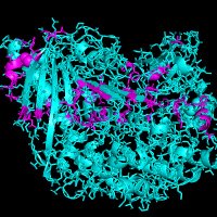 Colin Jackson (@jackson_lab) 's Twitter Profile Photo Colin Jackson (@jackson_lab) 's Twitter Profile Photo