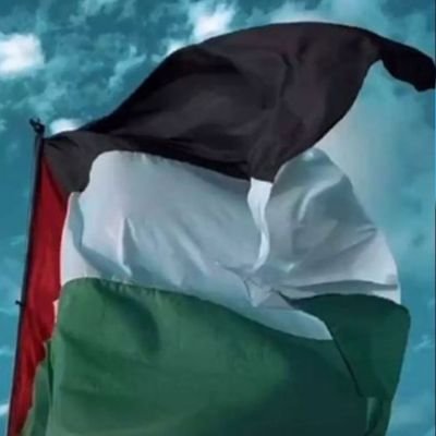 aemo445533's profile picture. كن حامدا شاكرا  لله في كل أحوالك فقد قال تعالى 
لأن شكرتم لازيدنكم