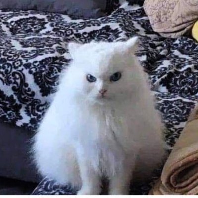 bansuriwala_69's profile picture. Stoic |

 🤸