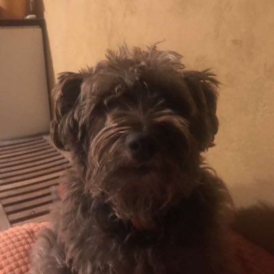 _BMoney___'s profile picture. 1/3 King of Cleveland