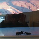 Kristi Schultz - @critter1002 - Twitter