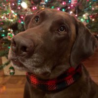 VikingCapp (@vikingcapp) 's Twitter Profile