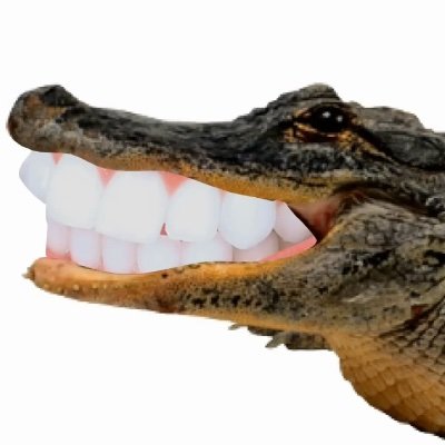 ChrisOSmit62158's profile picture. 