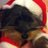 pikaroo's profile image