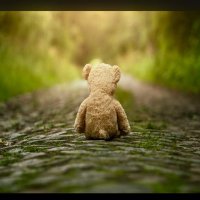 PoorImpulseControl #GTFTO! #FBPE (@whaleoilbefckd) 's Twitter Profile