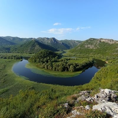 MariusNedelec's profile picture. 