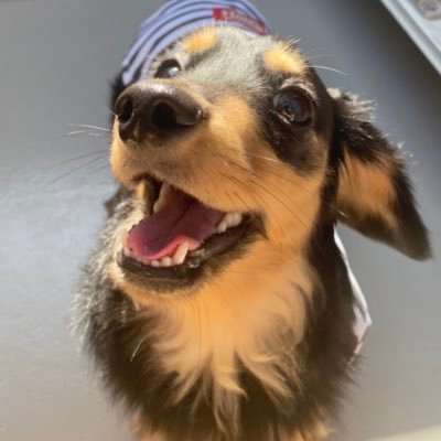 ACE_Yo9's profile picture. かわいいがぶくん🚹