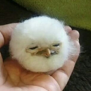 지침さんのプロフィール画像