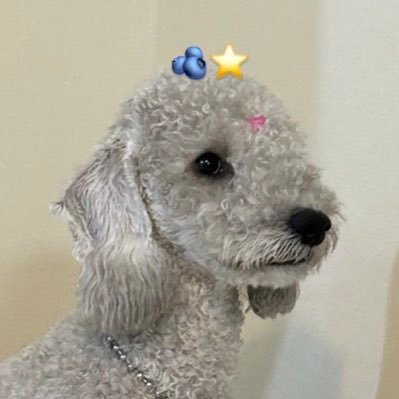 ktwiz24's profile picture. 내가 마법소녀라니🧙‍♀️ 럭키위즈잖앙🍀