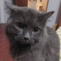 beng (@luv_beng) 's Twitter Profile Photo beng (@luv_beng) 's Twitter Profile Photo