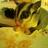 nm365's profile image