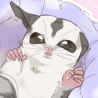 同棲中の彼氏とモモンガがかわいい日記🖌フクロモモンガのもんじゃ♂(2023.9.24)🍀チヂミと明石(2024.7.7)