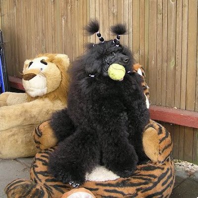 DaugbjergH28886's profile picture. 