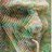 francaleu's profile image