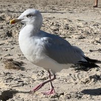 MaLe1976 (@malez1976) 's Twitter Profile