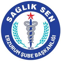 Sağlık-Sen Erzurum Şubesi(@sagsenerzurum) 's Twitter Profileg