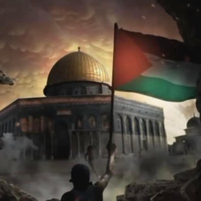 yaya22444's profile picture. فلسطين🇵🇸♥️💚🤍