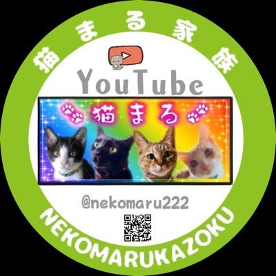 YouTube『猫まる家族』 猫とキャンプ旅、猫の日常、キャンプギア紹介等をUPしています😀 是非、ご視聴宜しくお願いします😌 愛猫🐱『魚介くん（うおすけ）』ハチワレ（享年1歳）『夢吉くん』黒猫、『琥珀ちゃん』キジトラ、『輝空くん（そら）』茶白 https://t.co/SYvM4lCj06