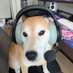Gojo (@4snipesgaming) Twitter profile photo Gojo (@4snipesgaming) Twitter profile photo