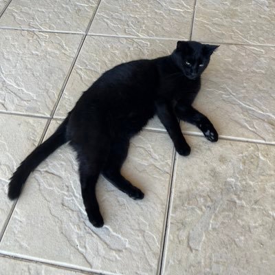 ilkaay01's profile picture. 