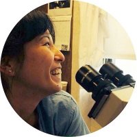 Katrina Collins, MD || Pathologist (@katcollmd) 's Twitter Profile