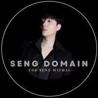 SENG DOMAIN(@SENGDOMAIN) 's Twitter Profile Photo