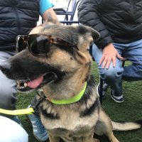 Thomas Runkel (@thomasrunkel1) 's Twitter Profile Photo Thomas Runkel (@thomasrunkel1) 's Twitter Profile Photo