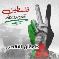 محمد الملاهي (@almalahimu21794) Twitter profile photo