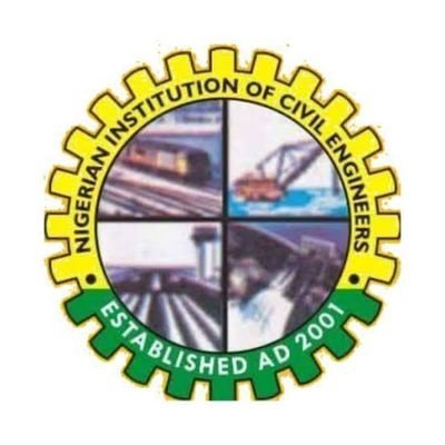 NICE-SA UNILAG Profile