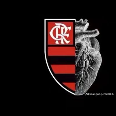 minha paixão sempre  vai ser o Flamengo, Flamengo sempre irei de ser!!!