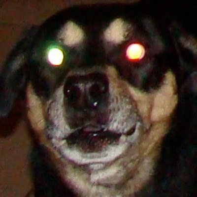 ScrwyL's profile picture. I like writing screenplays, I hope you like my additional dialogue.