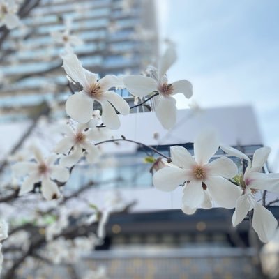 子供達に希望ある未来を！無言フォロー失礼します🙏息子二人の母/旅好き/猫好き/健康第一