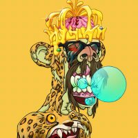 Mr$liM (@slim4president) 's Twitter Profile Photo Mr$liM (@slim4president) 's Twitter Profile Photo