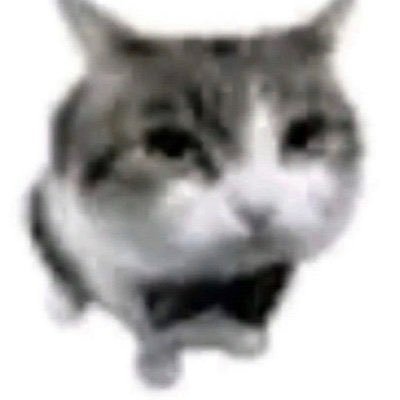 hsksjksh48302's profile picture.
