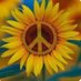 Mary Lynn 🌻🇺🇸🇺🇦☮️🎸💙 (@marylynninaz) Twitter profile photo